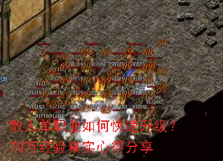 ɢ�˵�ְҵ��ο���������70������ʵ�ĵ÷���