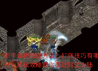新手如何快速升级?打怪技巧有哪些?终极攻略助你征战玛法大陆 新手如何快速升级?打怪技巧有哪些?终极攻略助你征战玛法大陆