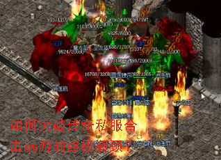 ���ͻ�ƴ���˽���ϻ����ε��ռ�ƿ����