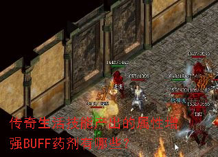 ��������ܲ�����������ǿBUFFҩ������Щ��