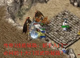 ����3���ܸ������������ű��ʵ�ʮ�������书�ؼ���