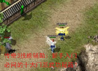 ����3���ܸ������������ű��ʵ�ʮ�������书�ؼ���