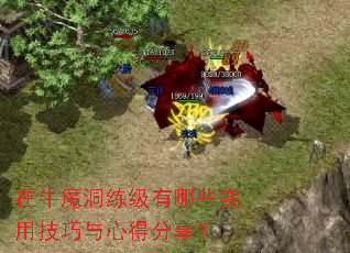 ��ţħ����������Щʵ�ü������ĵ÷�����