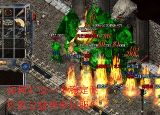 ��δ���һ���ȶ�����Ĺ��洫��˽����