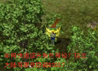 ��ο���������ɫ�ȼ����귨��½����Щ����BOSS��