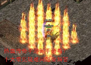 ��Ѫ�����������ֱؿ���ʮ�󳣼���������ȫ���