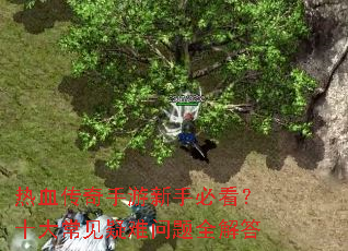 ��Ѫ�����������ֱؿ���ʮ�󳣼���������ȫ���