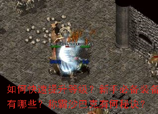 ��ο��������ȼ������ֱر�װ������Щ���ư�ɳ�Ϳ��к��ؾ���