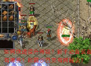 ��ο��������ȼ������ֱر�װ������Щ���ư�ɳ�Ϳ��к��ؾ���