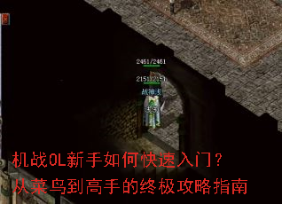 ��սOL������ο������ţ��Ӳ��񵽸��ֵ��ռ�����ָ��