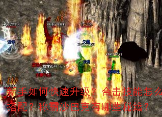 ������ο����������ϻ�������ô���䣿�ư�ɳ�Ϳ�����Щ�ؼ���