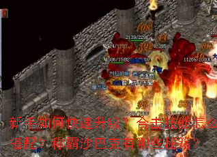 ������ο����������ϻ�������ô���䣿�ư�ɳ�Ϳ�����Щ�ؼ���