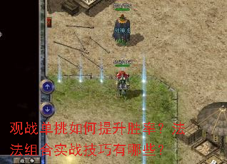 ��ս�����������ʤ�ʣ��������ʵս��������Щ��