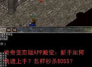 �����̬��APP���ã�������ο������֣�������ɱBOSS��