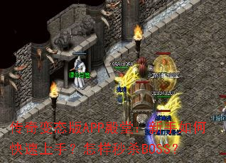 �����̬��APP���ã�������ο������֣�������ɱBOSS��