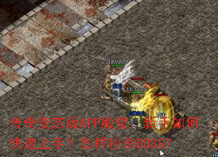 �����̬��APP���ã�������ο������֣�������ɱBOSS��