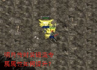 ���´�ʱװ����ר���������������