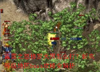 雷霆之怒修罗天界怎么打?新高等级地图boss攻略全解析 雷霆之怒修罗天界怎么打?新高等级地图boss攻略全解析