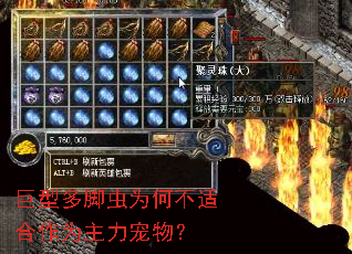 巨型多脚虫为何不适合作为主力宠物? 巨型多脚虫为何不适合作为主力宠物?