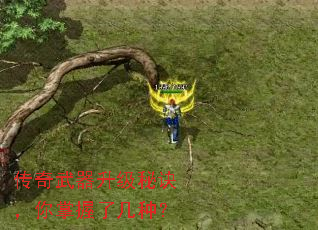 传奇武器升级秘诀,你掌握了几种? 传奇武器升级秘诀,你掌握了几种?