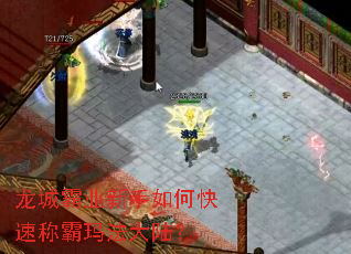 龙城霸业新手如何快速称霸玛法大陆? 龙城霸业新手如何快速称霸玛法大陆?