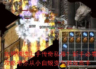 ��ο������ִ���˽�������ֱؿ����Դ����С���ɱ�Ϊ��Ϸ����