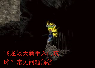 ����ս���������Ź��ԣ�����������