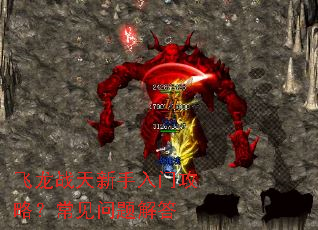 ����ս���������Ź��ԣ�����������