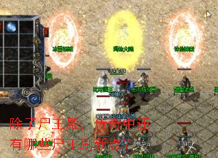 ����ʬ��������л�����Щʬ��ˢ�µ㣿