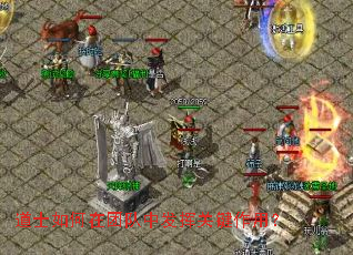 道士如何在团队中发挥关键作用? 道士如何在团队中发挥关键作用?