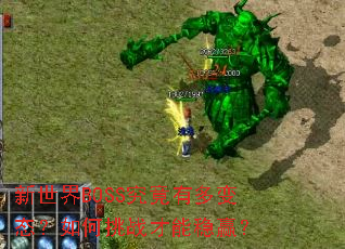 ������BOSS�����ж��̬�������ս������Ӯ��