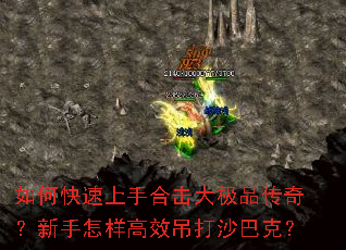 ��ο������ֺϻ���Ʒ���棿����������Ч����ɳ�Ϳˣ�