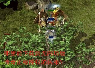 ���������ص����ڹ��洫��������Ȩ��˽����