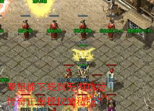 ���������ص����ڹ��洫��������Ȩ��˽����