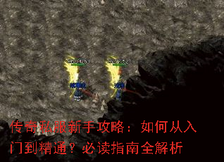 ����˽�����ֹ��ԣ���δ����ŵ���ͨ���ض�ָ��ȫ����