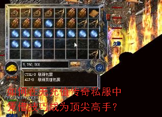 ������޳�ֵ����˽����ƾ�輼�ɳ�Ϊ������֣�