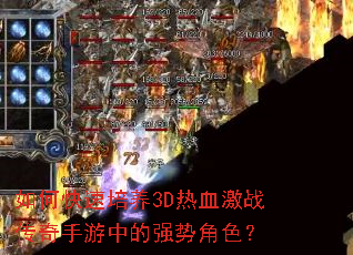 ��ο�������3D��Ѫ��ս���������е�ǿ�ƽ�ɫ��