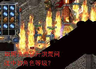 ��ο�����������ʵ��еĽ�ɫ�ȼ���