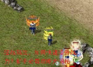 ��ս�귨����ο�������ս�������ֱؿ����Դ����