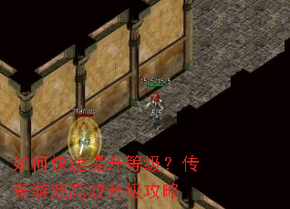 ��ο��������ȼ���������Ϸ��Ч��������