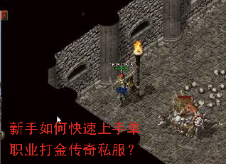 ������ο������ֵ�ְҵ�����˽����