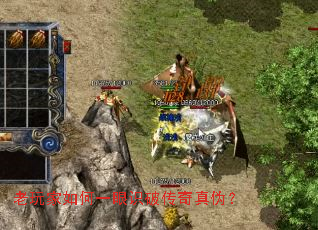 ��������һ��ʶ�ƴ�����α��