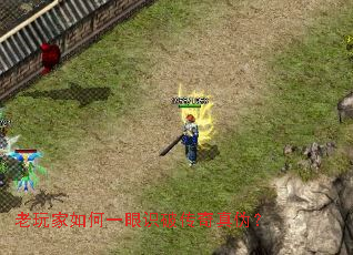 ��������һ��ʶ�ƴ�����α��