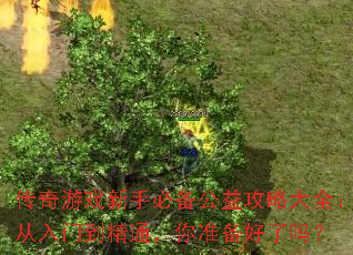 ������Ϸ���ֱر����湥�Դ�ȫ�������ŵ���ͨ����׼��������