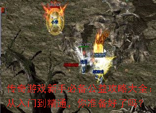 ������Ϸ���ֱر����湥�Դ�ȫ�������ŵ���ͨ����׼��������