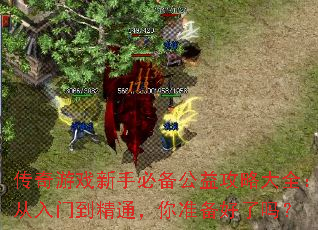 ������Ϸ���ֱر����湥�Դ�ȫ�������ŵ���ͨ����׼��������