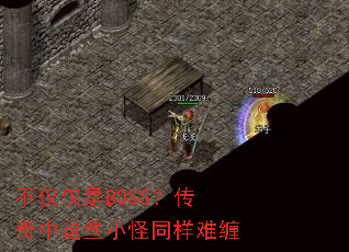 ��������BOSS����������ЩС��ͬ���Ѳ�