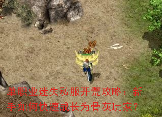 ��ְҵ��ʧ˽�����Ĺ��ԣ�������ο��ٳɳ�Ϊ�ǻ���ң�