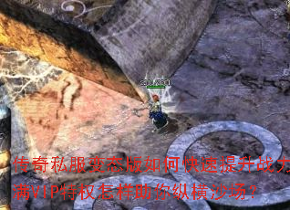 ����˽����̬����ο�������ս������VIP��Ȩ���������ݺ�ɳ����