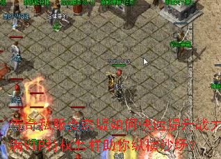 ����˽����̬����ο�������ս������VIP��Ȩ���������ݺ�ɳ����